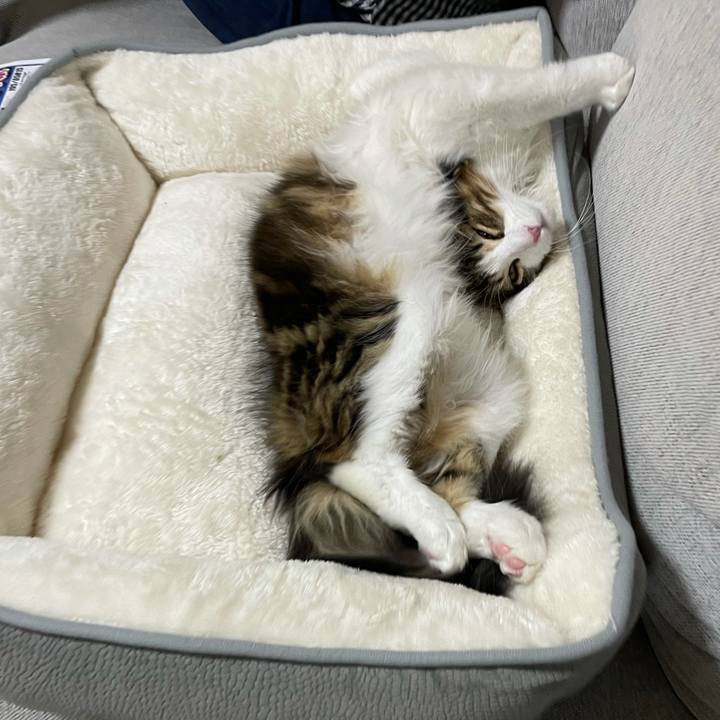 Cc23a6fa dbad 4259 a635 b0be780b33bf 1636110789828