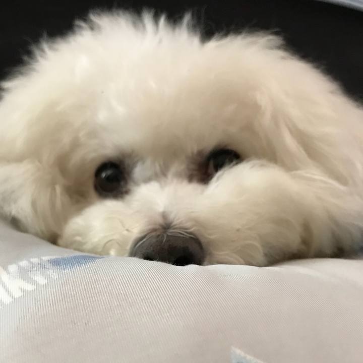 Cc23ae8d d836 4dbb 8bdc 979a6b7716e3 1558415013450