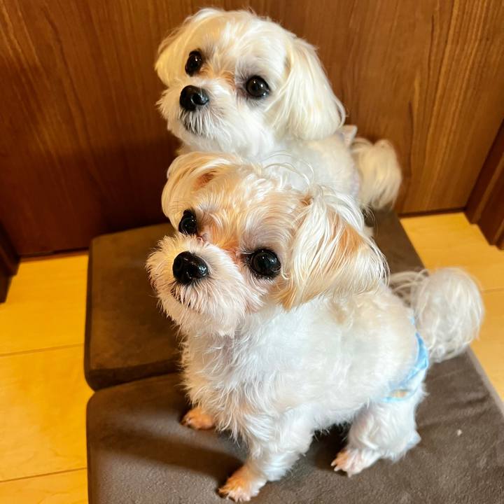 Cc23bae9 8b52 48bf ab9e 9a3c2f1028cb 1664335601522