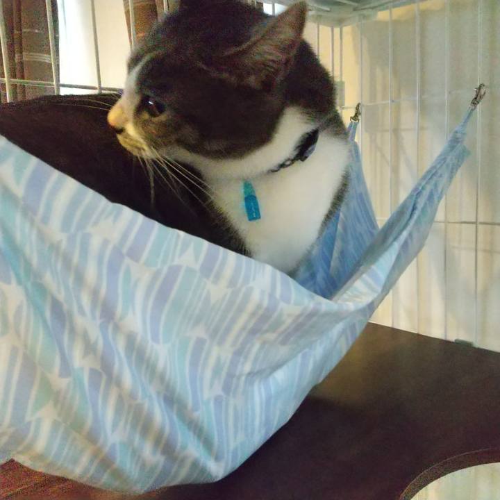 Cc240b33 03e2 463d 97d2 8179899d9a72 1601098983487