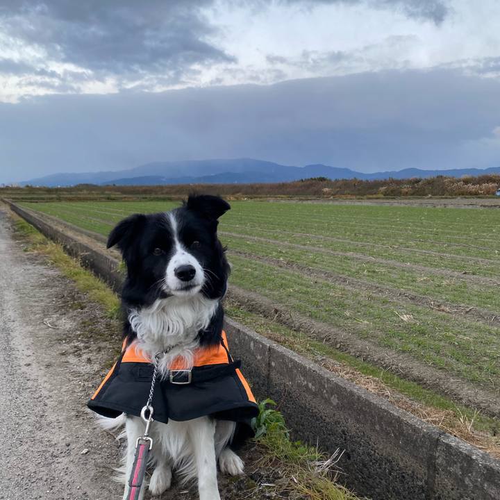 Cc244279 b78b 4329 a346 0224b12cec14 1607987652324