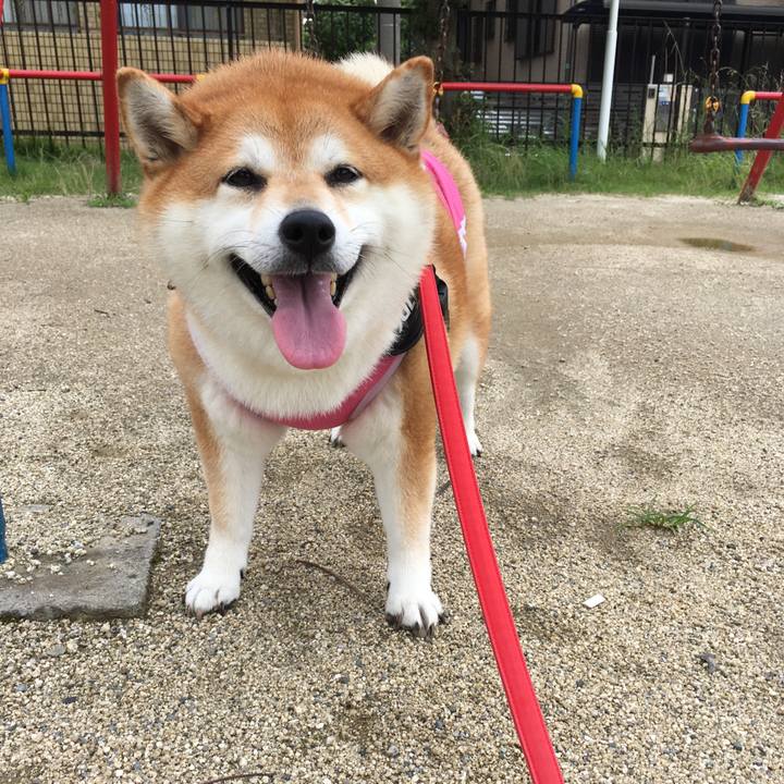 Cc24591b 8993 4084 8dd5 b37685aeacf9 1595821042122