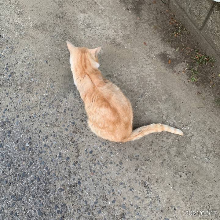 Cc245ad2 bde1 4805 b26b 26feb67e0b27 1613525984979