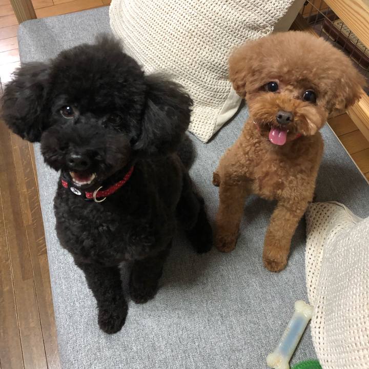 Cc24ba91 4e49 4fda 8a67 0fb2f33e1d4b 1594555368983