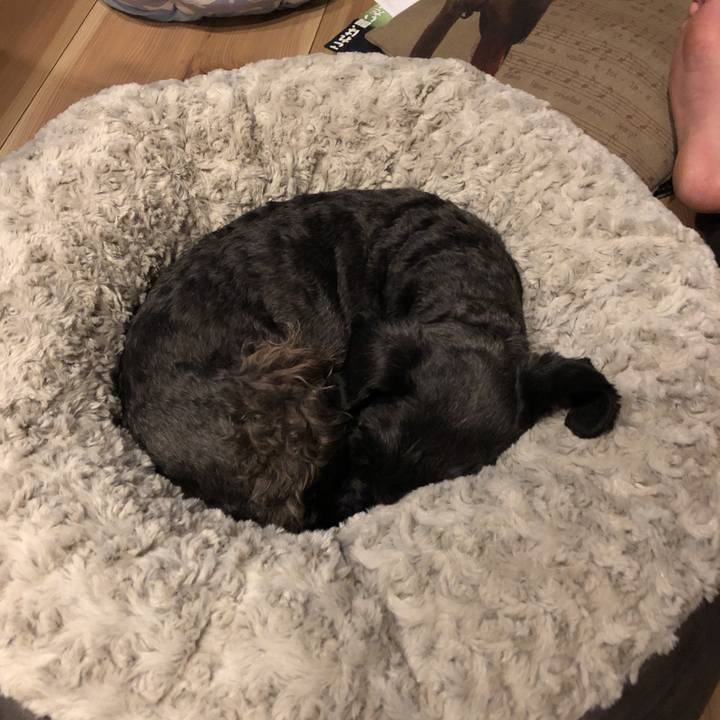 Cc24bb09 8538 4d7c a39d b63b26af9bf5 1543750613114