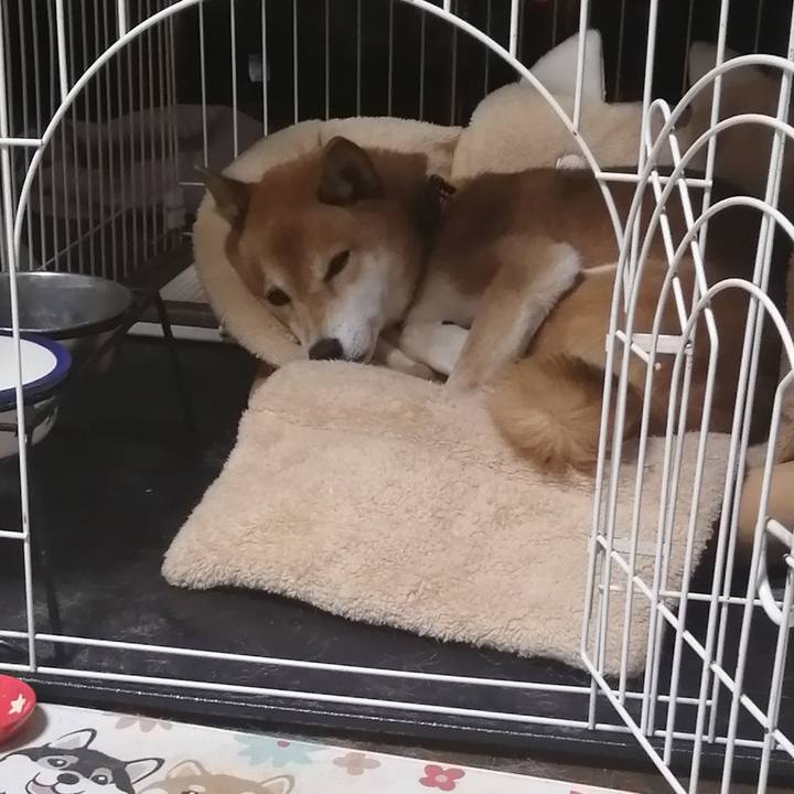 Cc24d2d6 74c3 4261 a403 2308e0ba70de 1639746444753