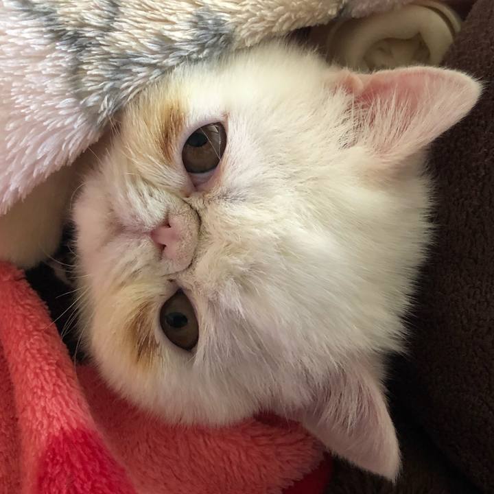 Cc2535be dbad 4294 88aa 3e38fefba3bd 1546491567105