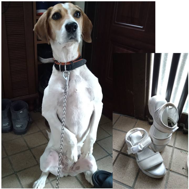 Cc2550af a3e7 499a 9bd7 f968476714c9 1630995593202