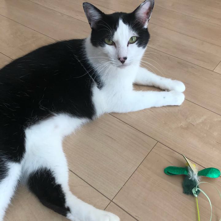 Cc255c7e 2daa 47d8 a10a 2fe668ffb31a 1564208938201