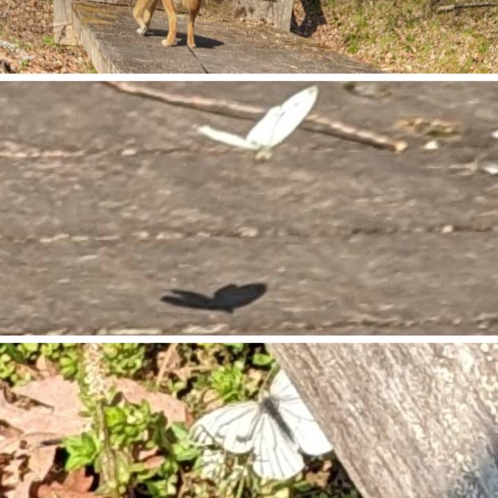 Cc25b6bf 9c21 4376 a848 4188db67fe83 1681649862947