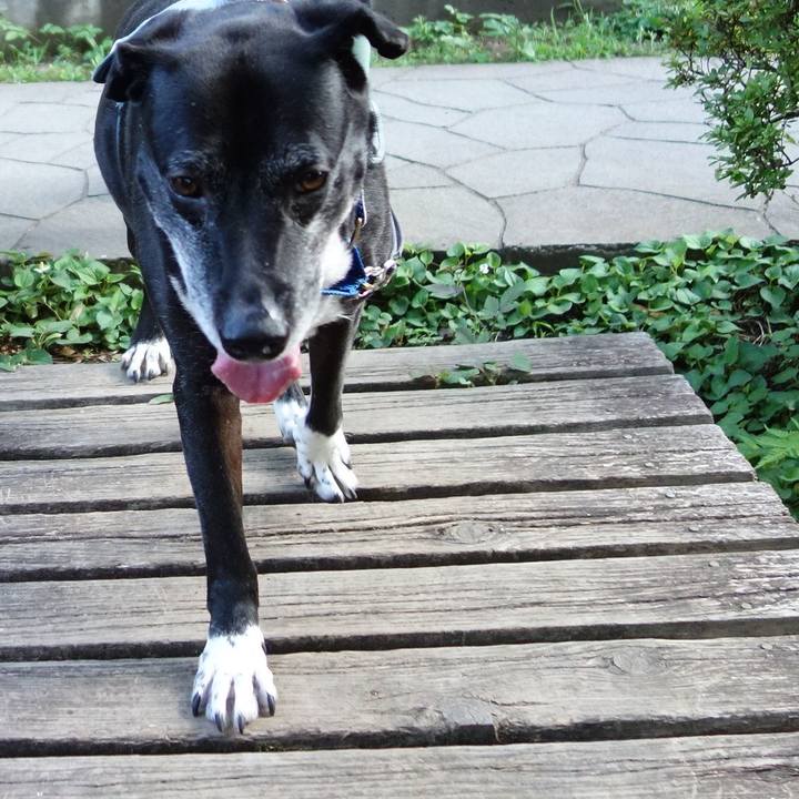 Cc260aca ed40 4f4b bbd3 7bf3072c7912 1750463078728