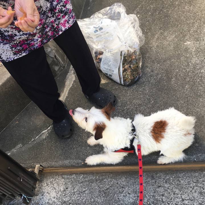 Cc260c22 c25e 4aa1 b96d 0e5d31bfefe7 1592455745330