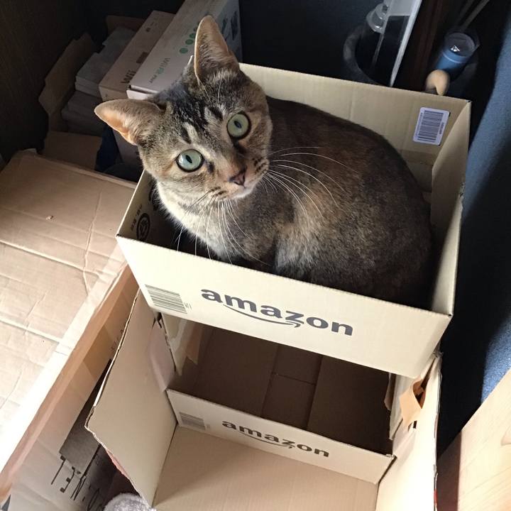 Cc262728 1662 4fa1 b365 9839b519f3a4 1616404070267