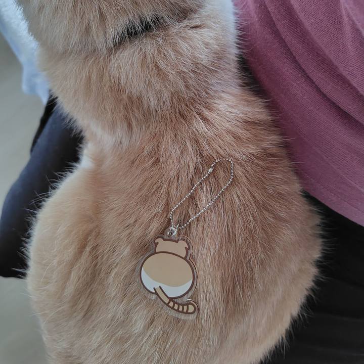 Cc263712 924f 4df0 bb41 499c4c09feb3 1720941018161