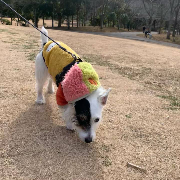 Cc2676d6 6001 4374 ac75 80a37a9fb7a4 1675561389746