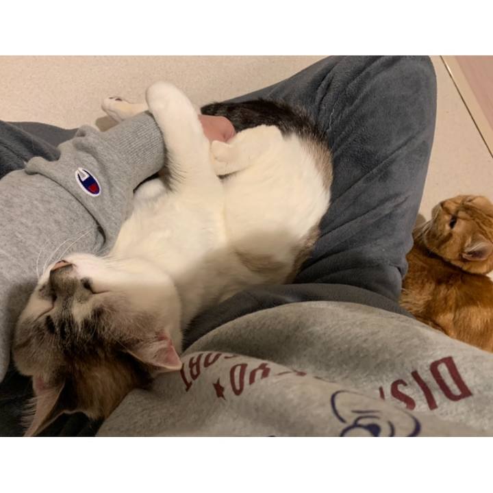 Cc26d909 15a7 422e 91ab af61ba0569c1 1586566459168