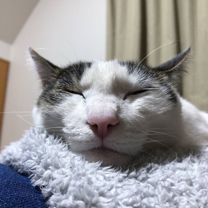 Cc26e6c9 efe9 4ee3 bbbf 08b6b87fa76b 1677500623758