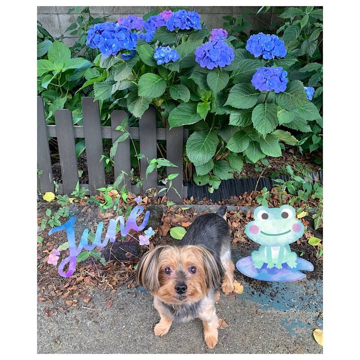 Cc26ea8d 7445 47dd 857b 91e27d2cf76d 1593077727670