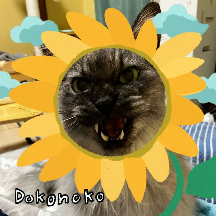 Cc26f5a2 a5db 4fe4 9d7a e9c038a29f7c 1723314213492