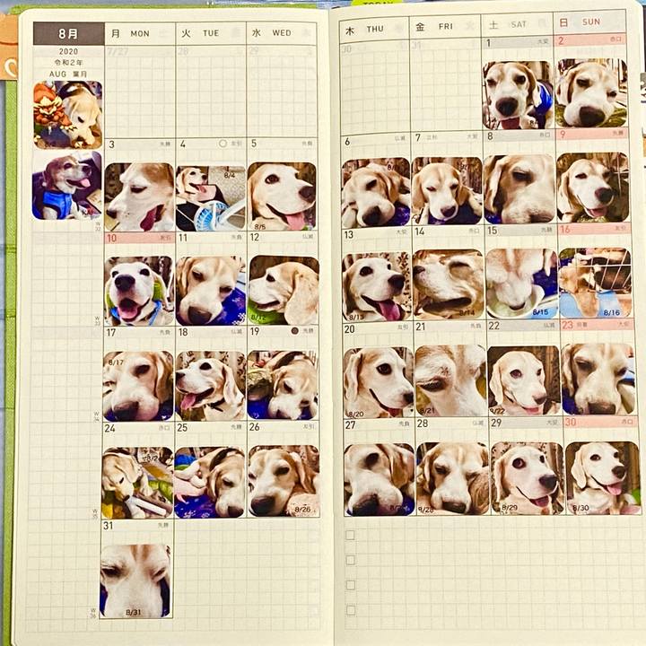 Cc275468 4b73 45ea a407 9746adcd3da9 1599082723974