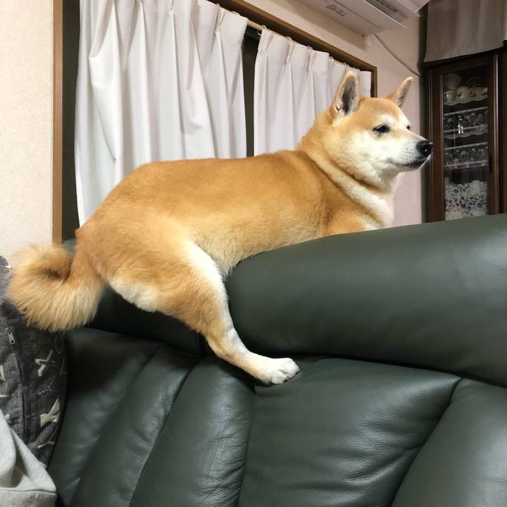 Cc2756bf 08be 4cd6 b066 9afc1960fe1e 1587567360789