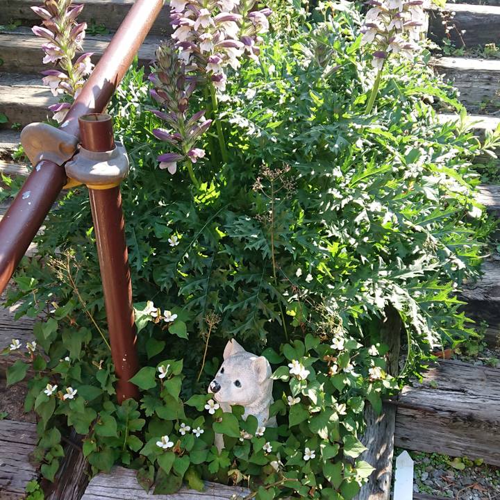 Cc275b5e 68e9 4f3d af0d bd17f6c0e14f 1528409055950