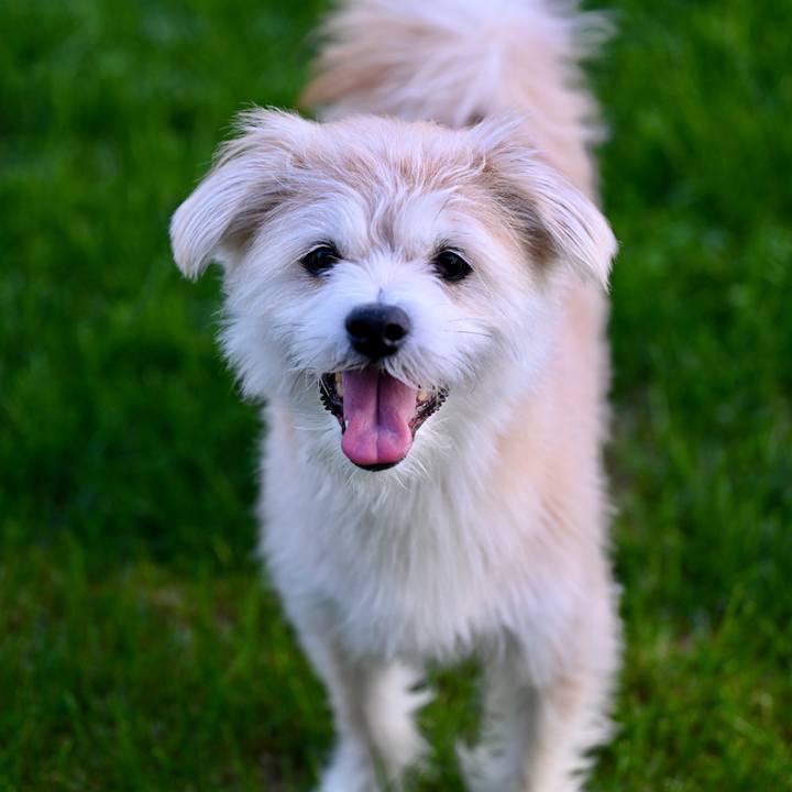 Cc2782da 7261 4f01 b3f0 1159d44d0200 1759662763539