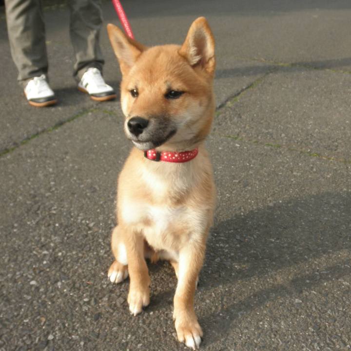 Cc27d02b b37b 4f38 8549 a6b48ba1adbe 1618239284959