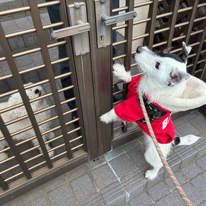 Cc27d431 246a 4430 b61d 97591fb8122b 1765236674253