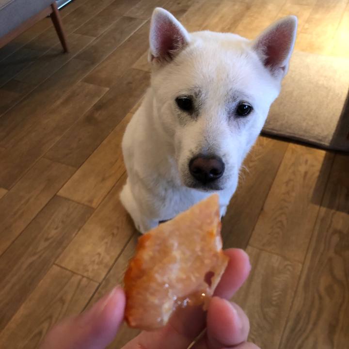 Cc27eb46 57ff 42f8 981b 2e3253268f46 1606472191793