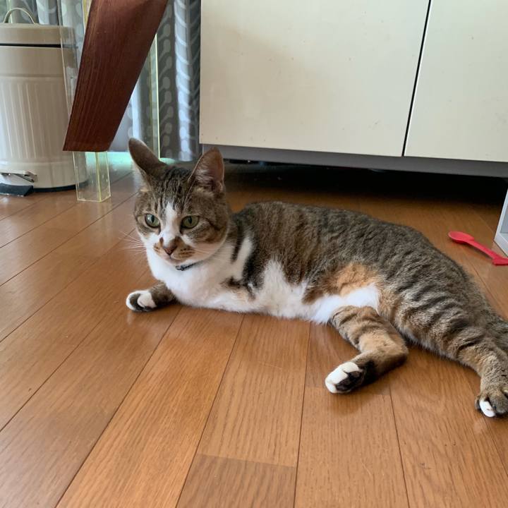 Cc27f8ab ef80 48f3 931d a1e8cb2598a4 1597880526580