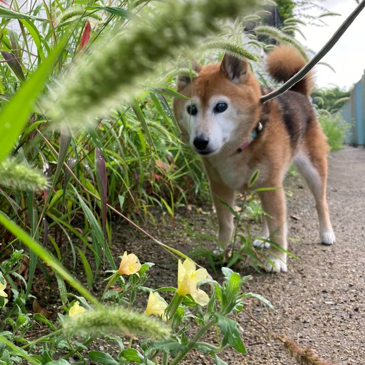 Cc27fd15 a639 4c69 b9ef dc6d6ed7a33a 1750895783362