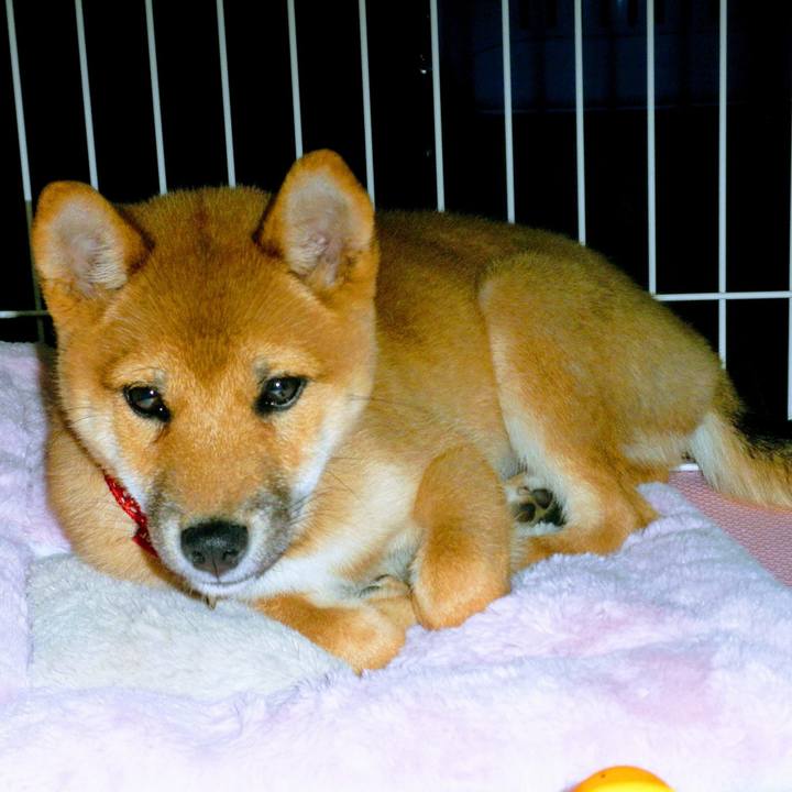 Cc28236e b1e6 4799 819b b19702822609 1585310918468