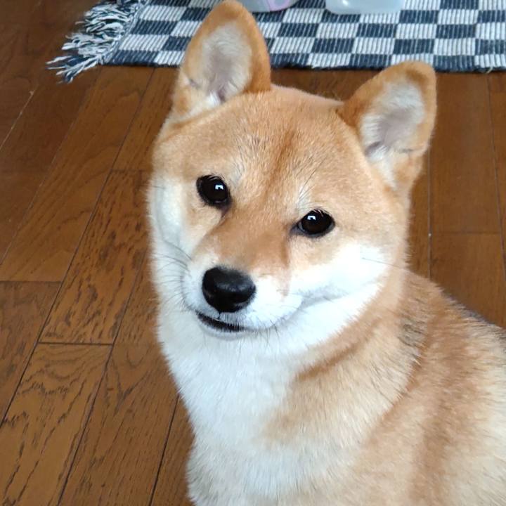 Cc284bd1 aa2c 47c1 9d78 34a28f14ef39 1649996593748