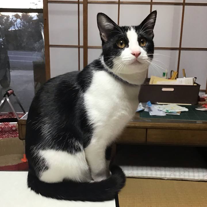 Cc289703 3caa 4c77 a079 02ff22ab057c 1637827044135