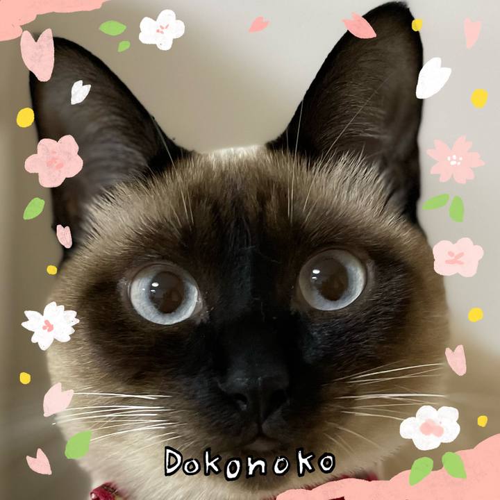 Cc289aad 393b 46e2 b7b5 235c158f1f4d 1711139221350