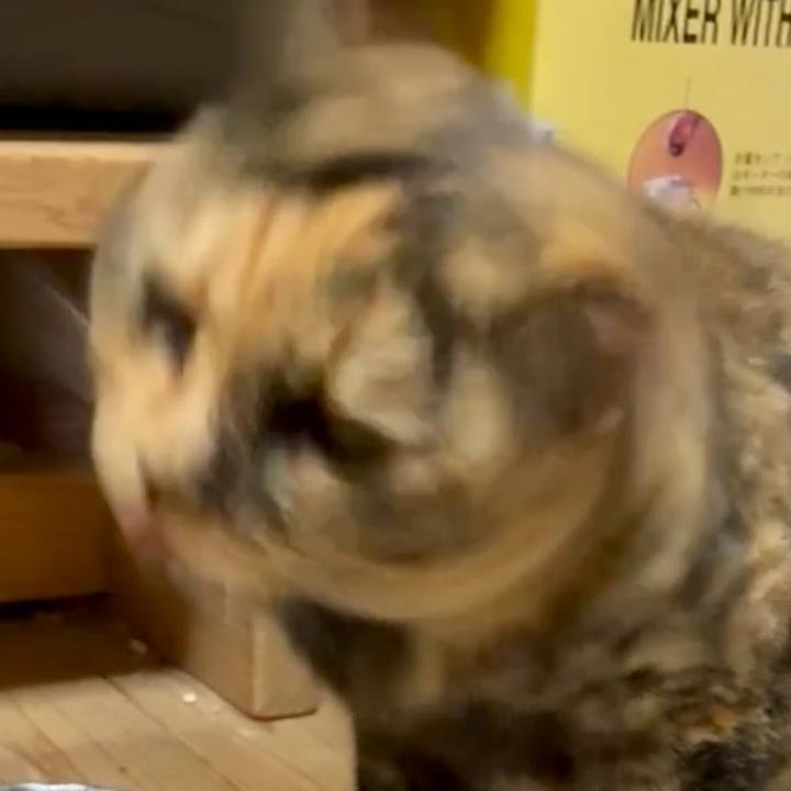 Cc28ce65 a423 4979 9124 4202e360eb4d 1758334936427