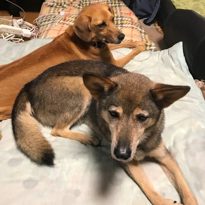 Cc28ff65 17cc 48ac b183 9b8bc71f045e 1514594143818