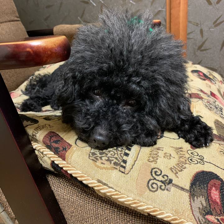 Cc2962fc 826a 4f32 9b79 ba7a5b7bb187 1572435593143