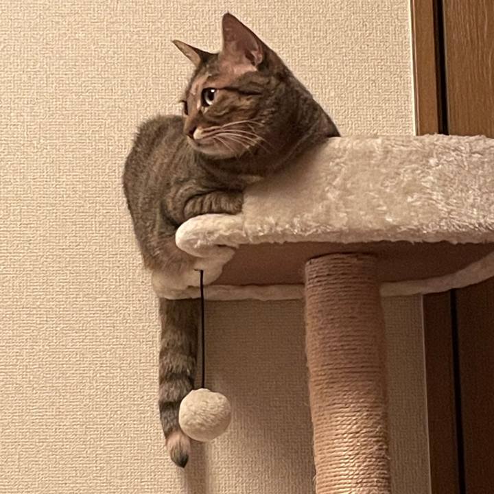 Cc29c21d 0493 45f2 b0f6 219fde4bf322 1695123224033