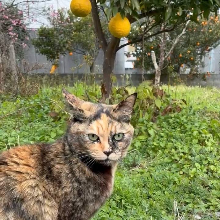 Cc2a0fe7 6ba8 4d94 b9a1 2bdd769e8021 1770211030740