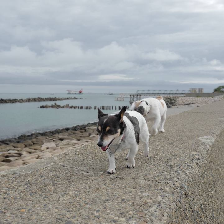 Cc2a119a 24a6 4dbc 84f4 2f73cf68263a 1562993308299