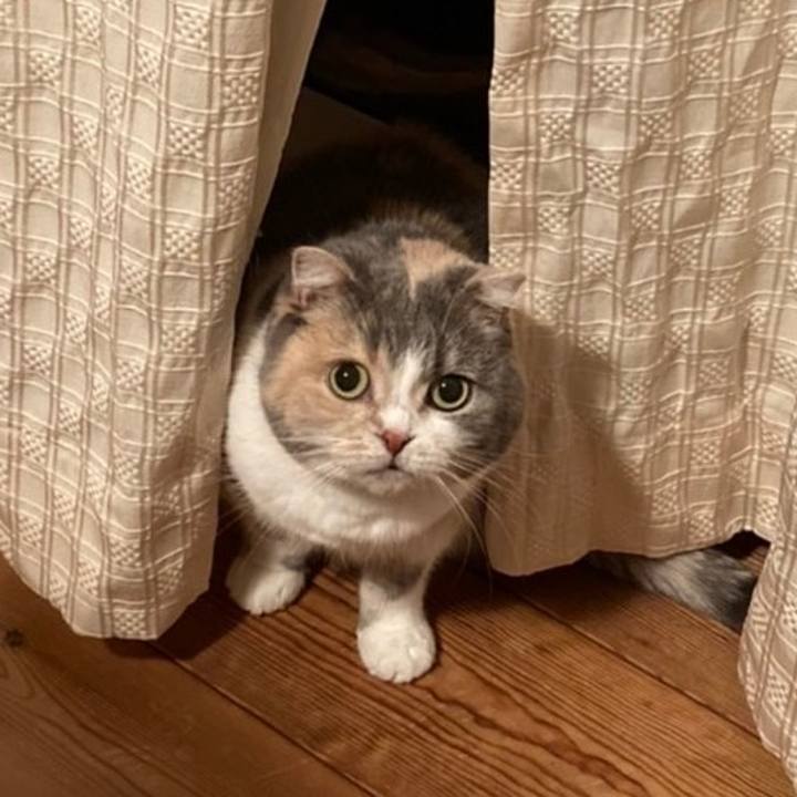 Cc2a2386 bab8 47dd a876 0371c2f17697 1643367287445