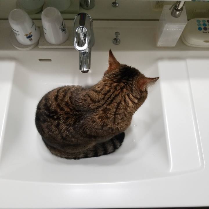 Cc2a3cca 5fe1 4414 9c3e e295e0af3942 1578484228130