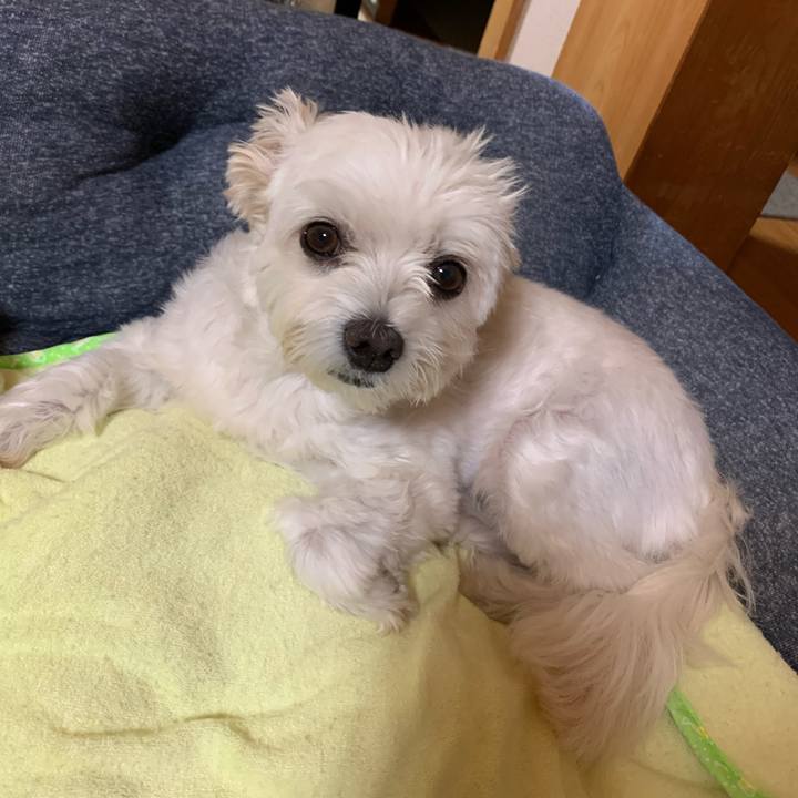 Cc2a6707 f357 40d0 ab85 b4b423c870ad 1601208726655