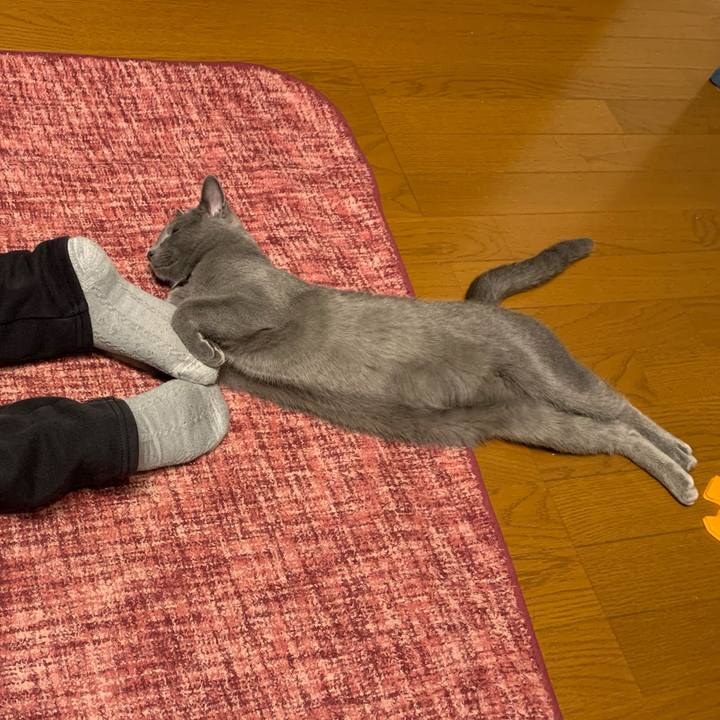 Cc2a7228 5cf4 4ec2 a241 df78d5640cc4 1577175755913