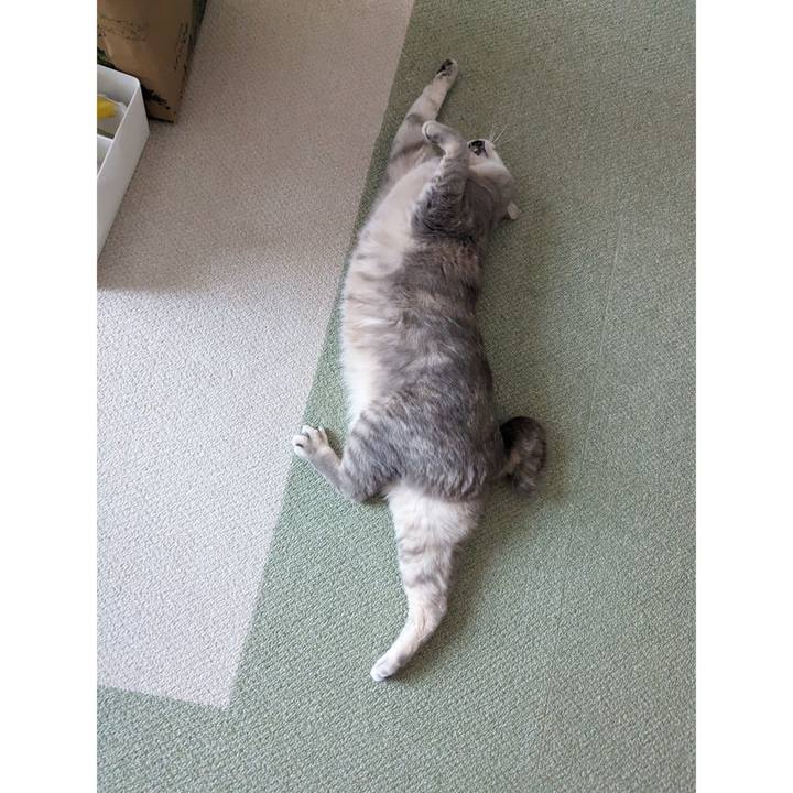 Cc2b14b2 6bb7 4cd3 92df 83181e3e38e8 1716700811291