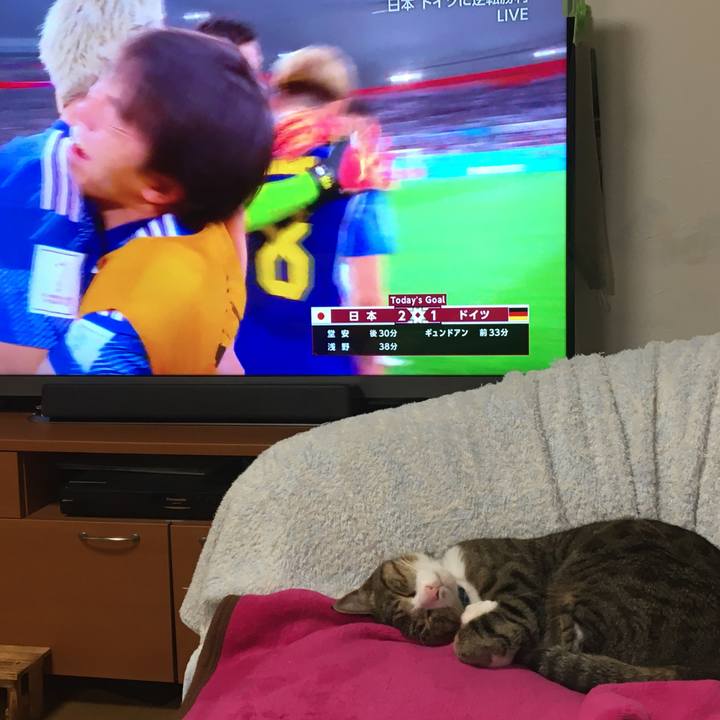 Cc2b59f5 5065 4f28 a9ad ca99601f1055 1669216038310