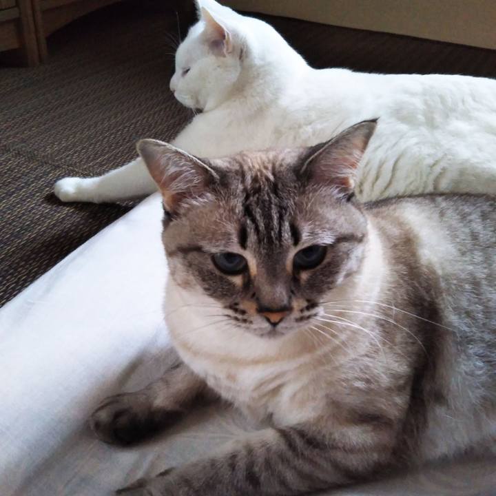 Cc2bad24 5391 48fd a0c9 c72e93725176 1563060116683