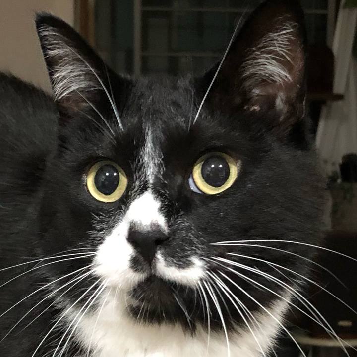 Cc2bb787 a373 4497 8afe f86d00575575 1657969642432